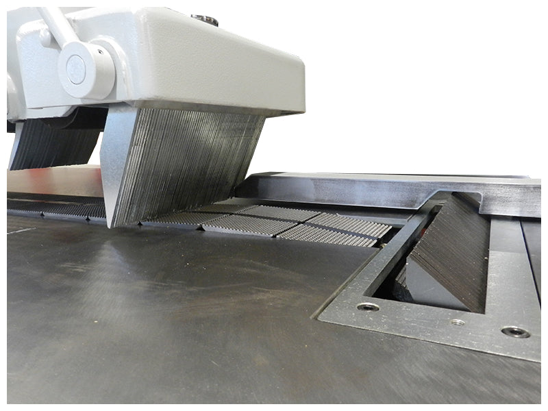 Cantek C14RS Straight Line Glue Joint  Ripsaw