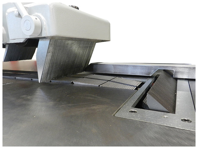 Cantek C14RS Straight Line Glue Joint  Ripsaw
