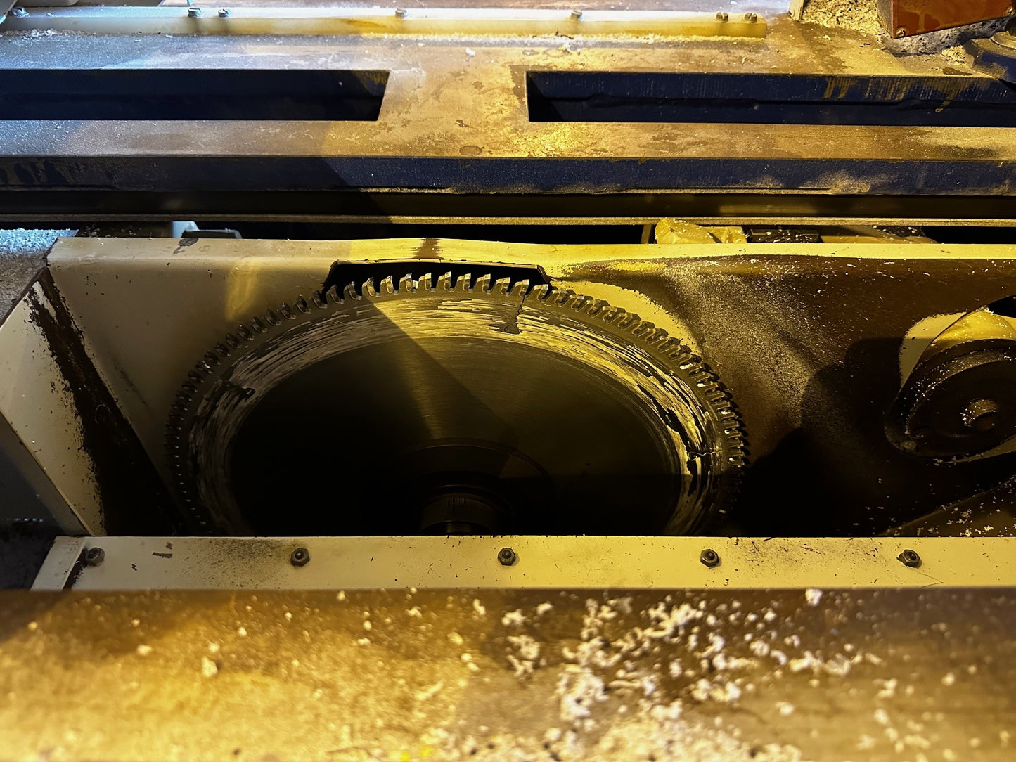 2001 Schelling FMH 300 Panel Saw & Dust Collector - Arizona